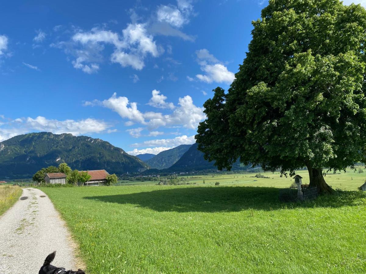 Im- Oberland - Berg - Koenigscard Lejlighed Bad Kohlgrub Eksteriør billede