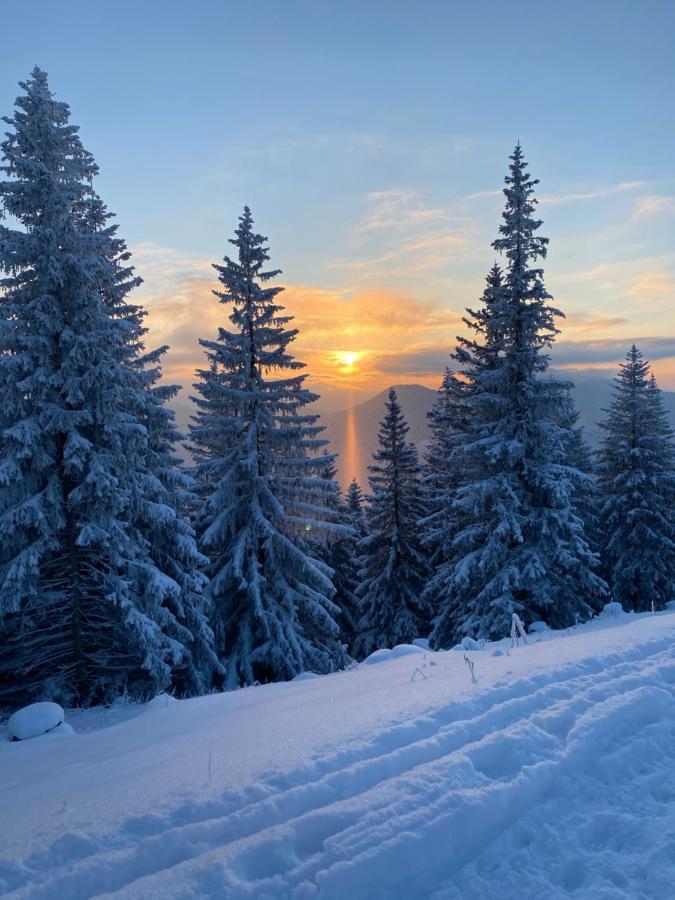 Im- Oberland - Berg - Koenigscard Lejlighed Bad Kohlgrub Eksteriør billede